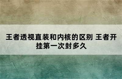 王者透视直装和内核的区别 王者开挂第一次封多久